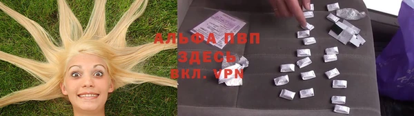 спиды Бронницы