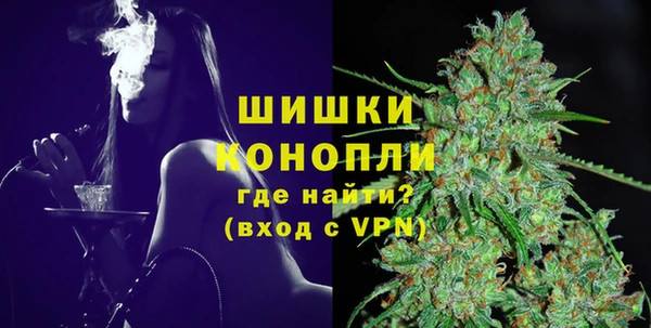 шишки Надым