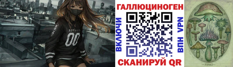 Псилоцибиновые грибы Psilocybine cubensis  Семикаракорск 